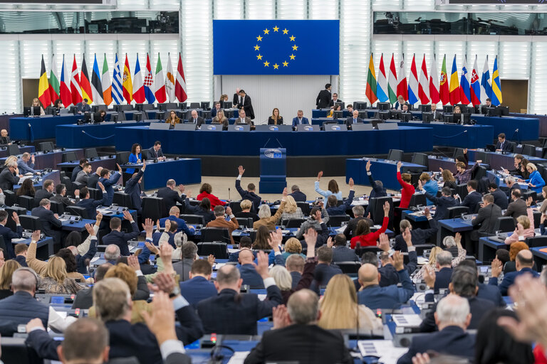 В резолюции по Грузии Европарламент призывает ввести санкции против Иванишвили
