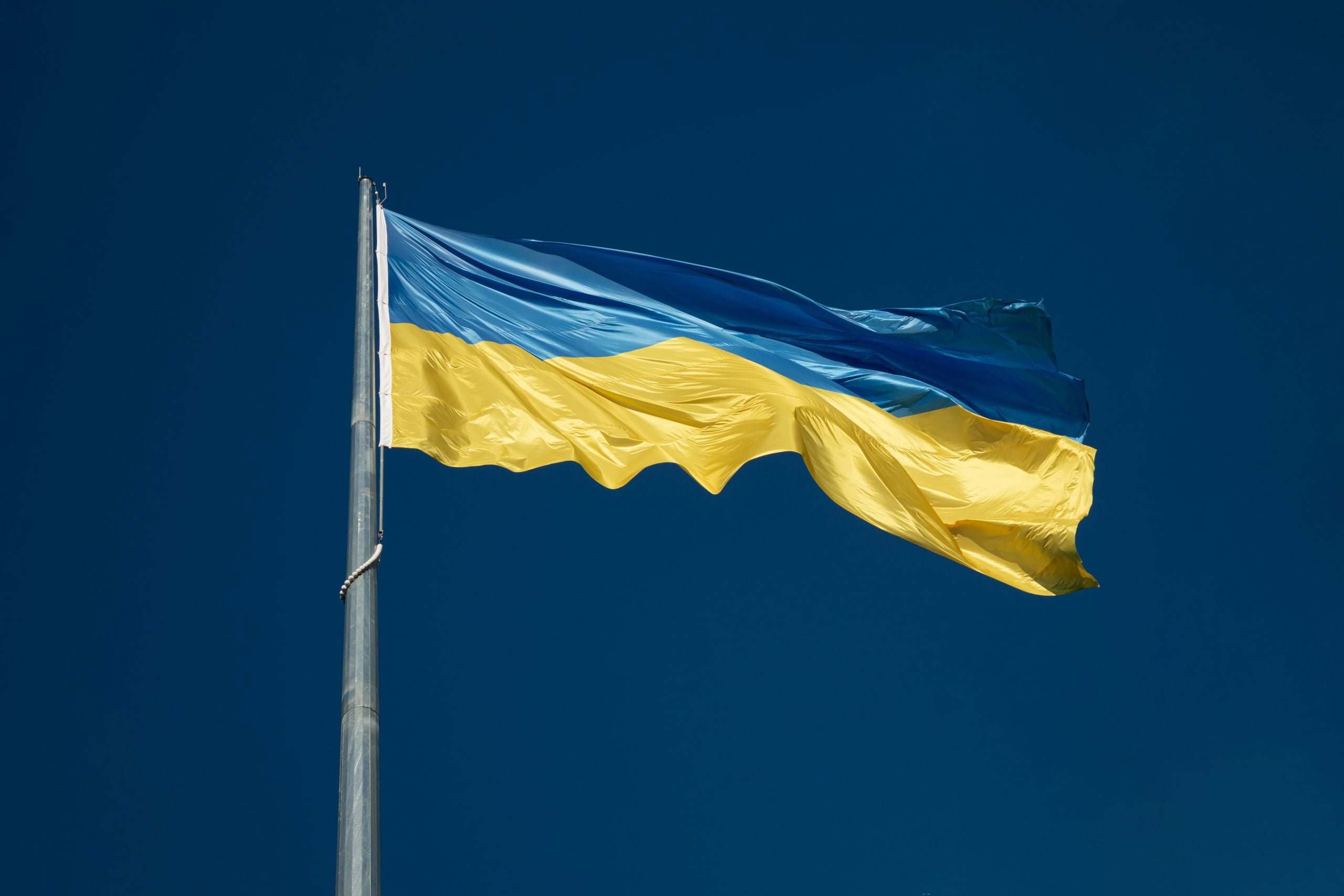 Грузинские оппозиционные политики посетят Киев