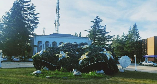 ხონელებს ქარმა ნაძვის ხე წაუქცია და  ვანელებს რაღაც შეუთვალეს…