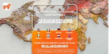 ჩემპიონატი მაგიდის ჩოგბურთში