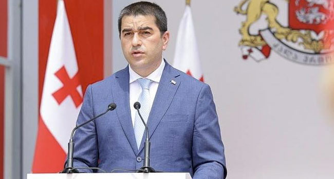 პარლამენტში დღეს უსაფრთხოების ყვითელი დონე იმოქმედებს _  მოხსენებით პაპუაშვილი წარდგება