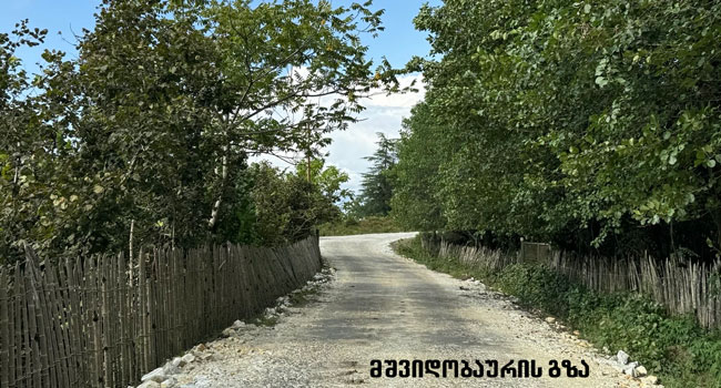სოფელ მშვიდობაურში გზის რეაბილიტაცია დასრულდა