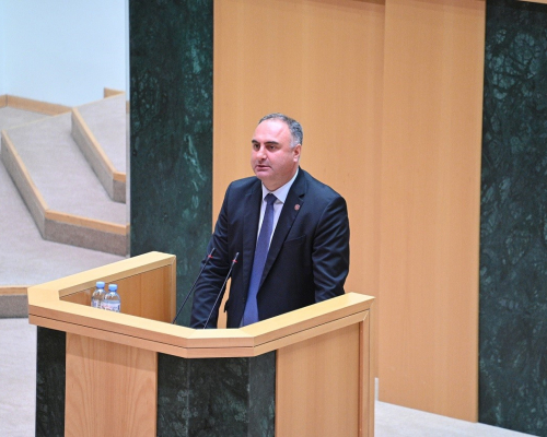 Парламент Грузии принял Оборонный кодекс