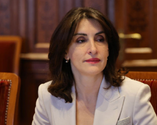 მაკა ბოჭორიშვილი: არავის მოუცია გარანტია, რომ ეს არ გამოიწვევდა რუსეთის საპასუხო რეაქციას