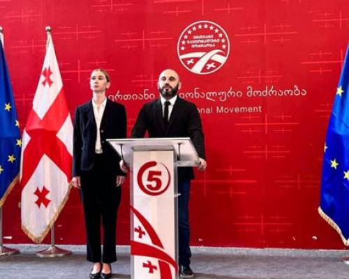 ლევან ხაბეიშვილი ენმ-ის თავმჯდომარის თანამდებობას ტოვებს _ მას თინა ბოკუჩავა შეცვლის