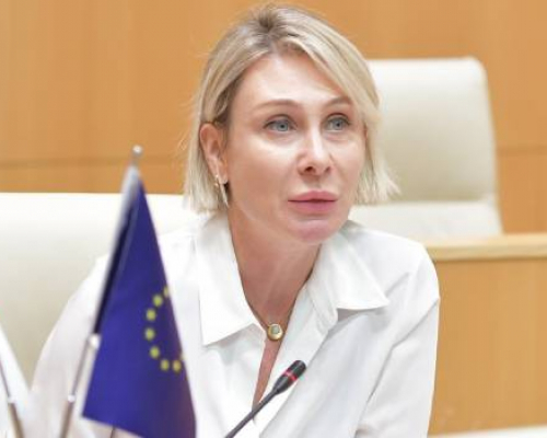 მზია ამაღლობელის ადვოკატები ნინო წილოსანის გამოკითხვას ითხოვენ