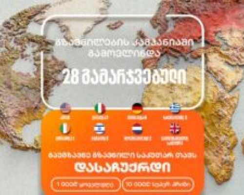 უპასუხო კითხვები ლისის ტბის საქმეში