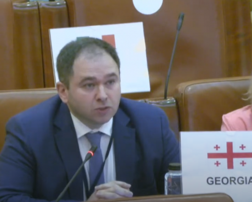 Николоз Самхарадзе ставит под сомнение формат Женевских международных дискуссий