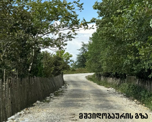 სოფელ მშვიდობაურში გზის რეაბილიტაცია დასრულდა