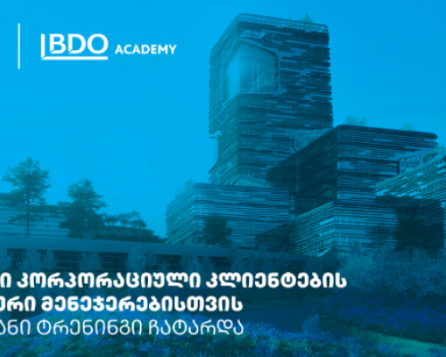 თიბისიმ პარტნიორი კომპანიების ფინანსური მენეჯერებისთვის ყოველწლიური ტრენინგები გამართა