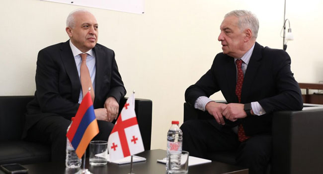 გიორგი ვოლსკი სომხეთის ელჩს შეხვდა