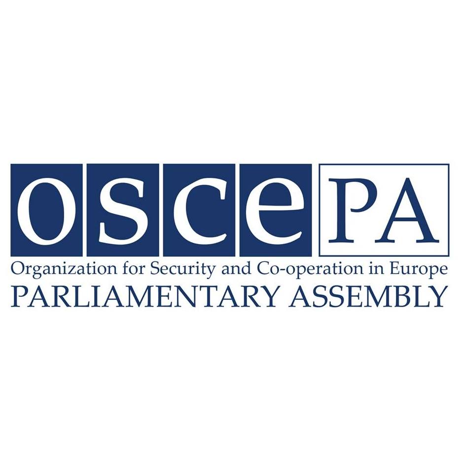 OSCE PA to Issue Final Election Observation Report on Georgia