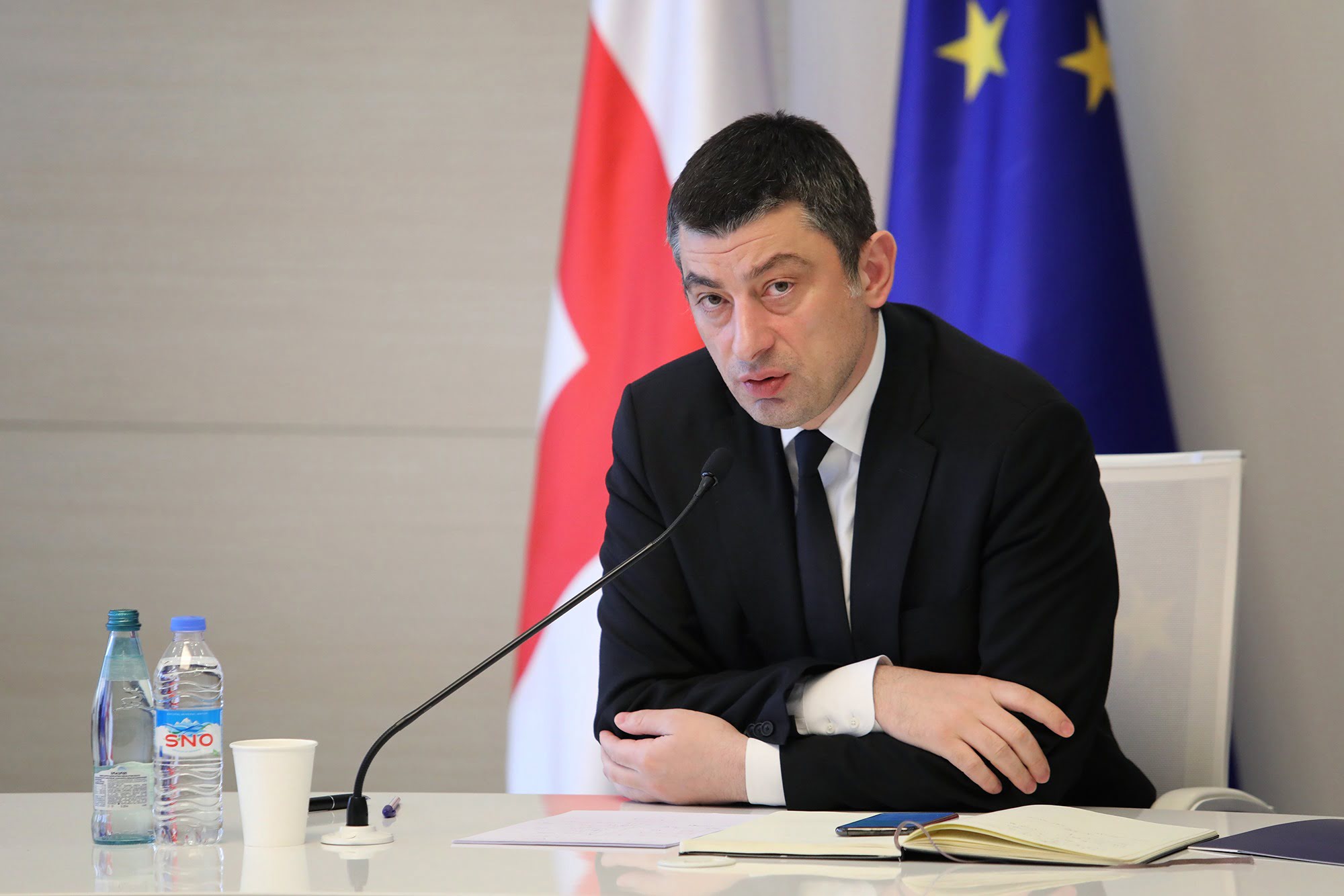 PM Giorgi Gakharia Resigns over Melia’s Detention