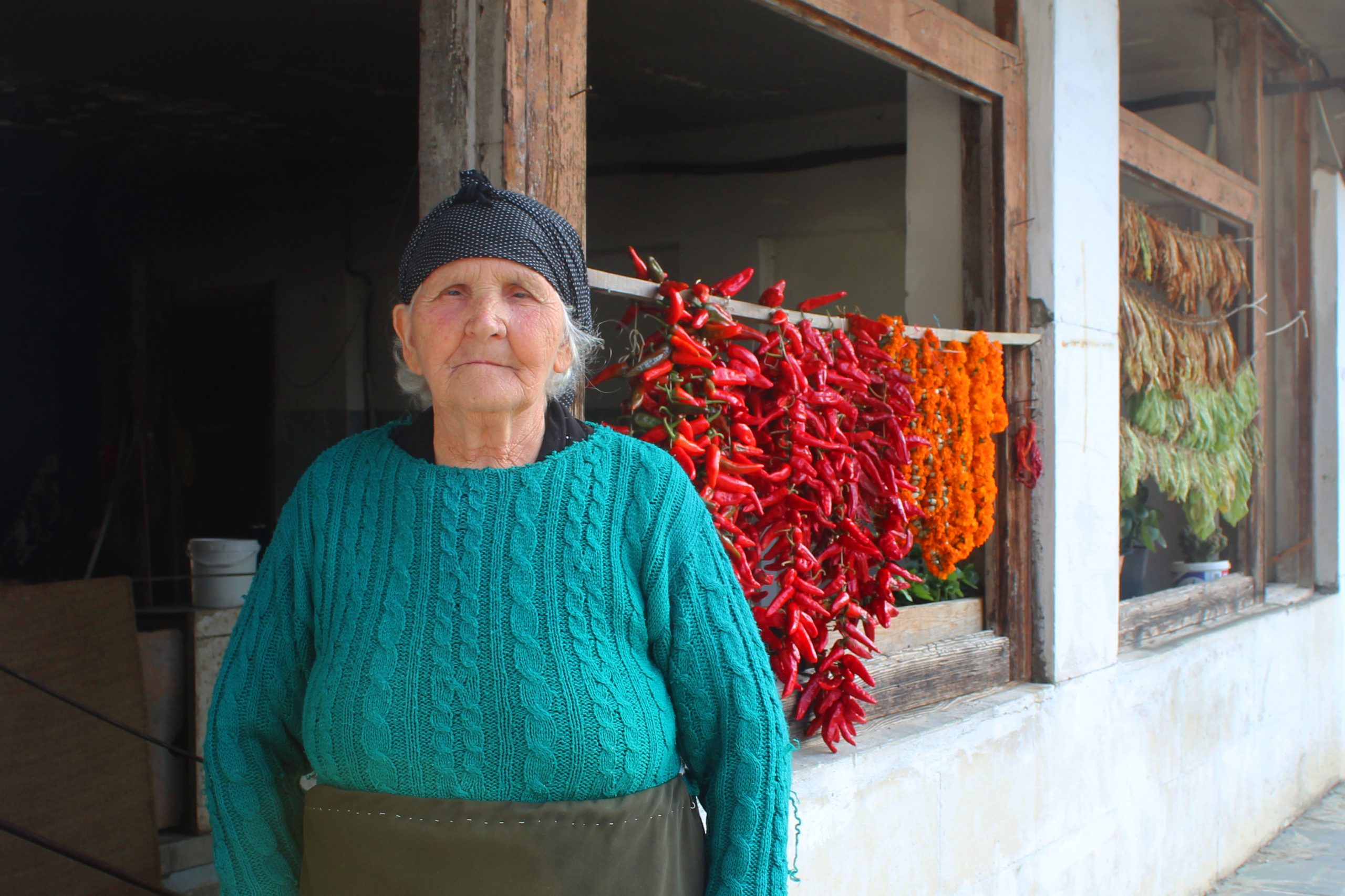 Waiting for Resettlement – IDPs from Georgia and Azerbaijan