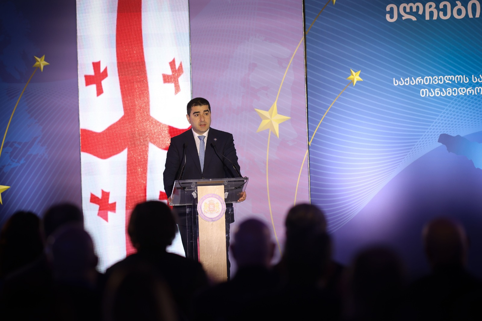 Op-ed | Groundless Criticism of Georgia Defies Logic, Weakens Our Common Cause