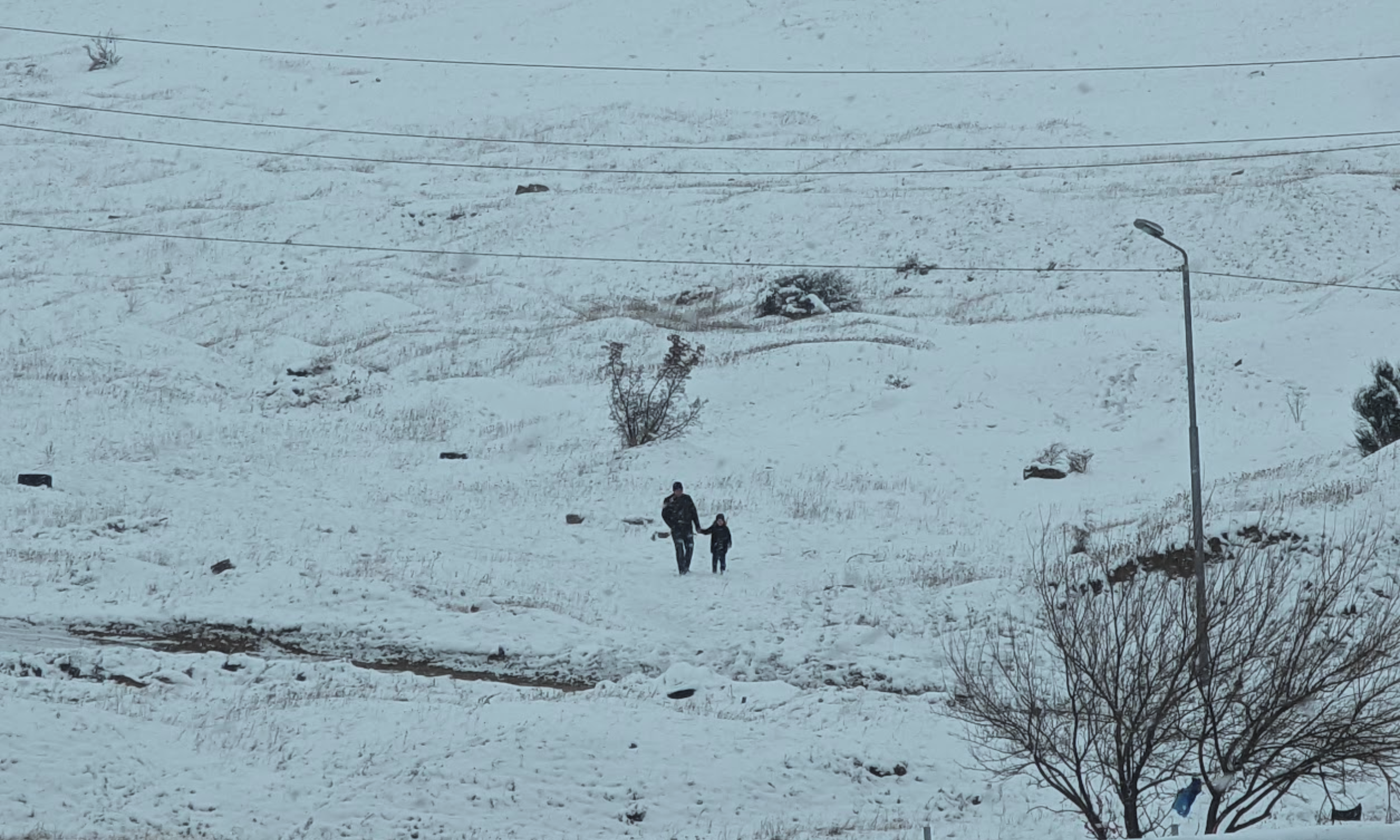 Dispatch – January 28: The winter of our discontent