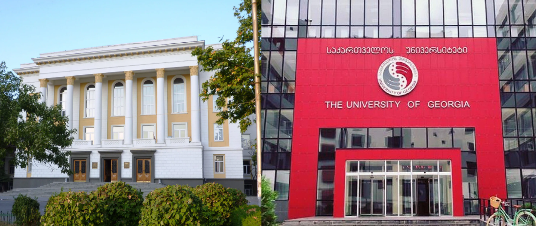 Georgian Technical University Rector Seeks Seizure of University of Georgia Property