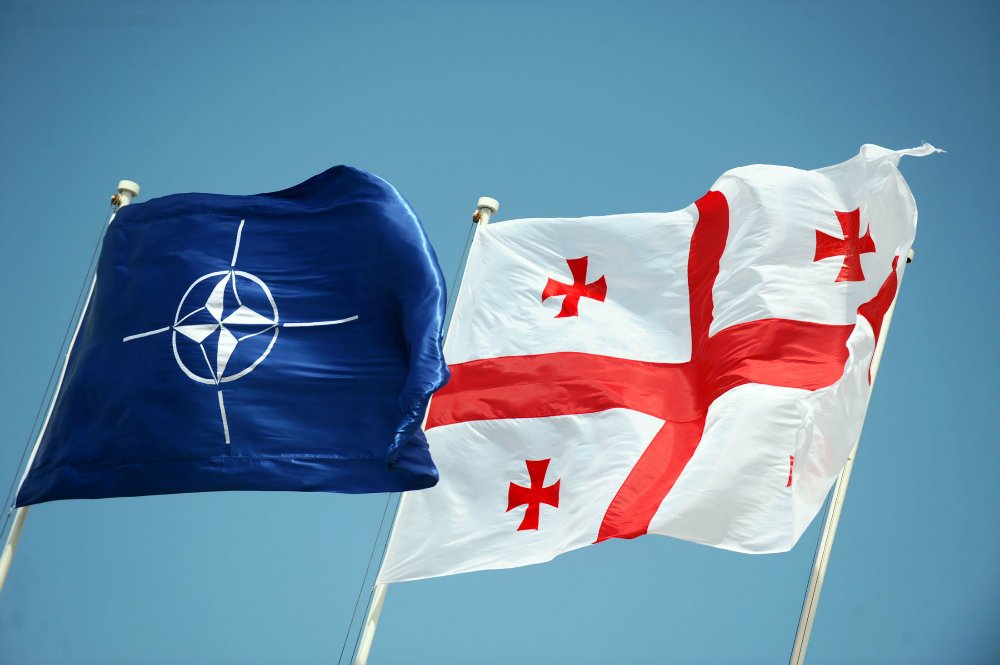 NATO Vilnius  Summit and Georgia: a Bitter Aftertaste