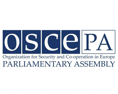 OSCE PA to Issue Final Election Observation Report on Georgia
