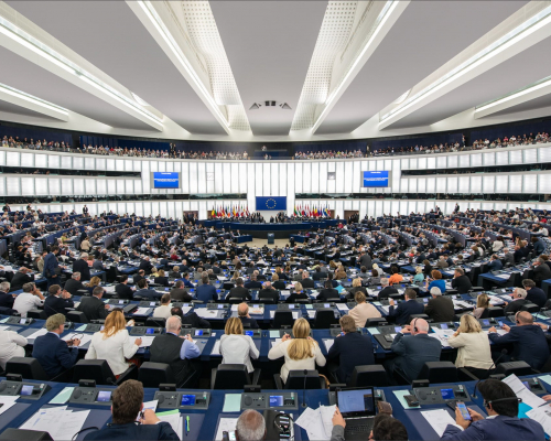 MEPs seek proper investigation of Kerzaia case