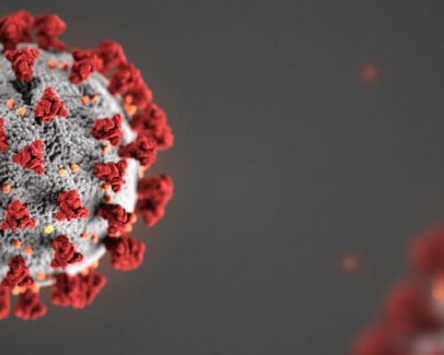 How Prepared is Georgian Healthcare System for COVID-19 Pandemic?