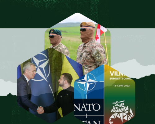 Opinion | What Goals Should we Set for the NATO Vilnius Summit?