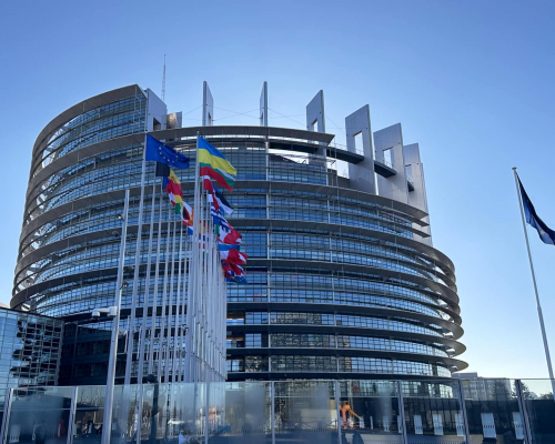 European Parliament Debates Georgia’s ‘Deepening Democratic Crisis’