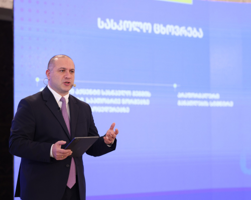 Georgian Dream Proposes General Education Reform Anchored in Identity, Uniformity