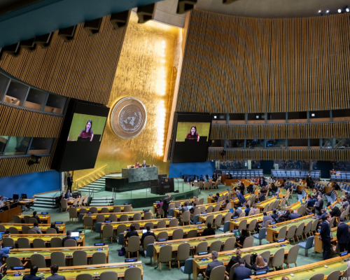 Georgia Backs UN Resolution Demanding Return of Ukrainian Children
