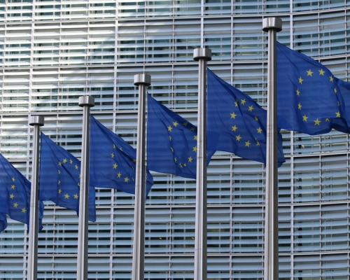 EU–Georgia Human Rights Dialogue Postponed