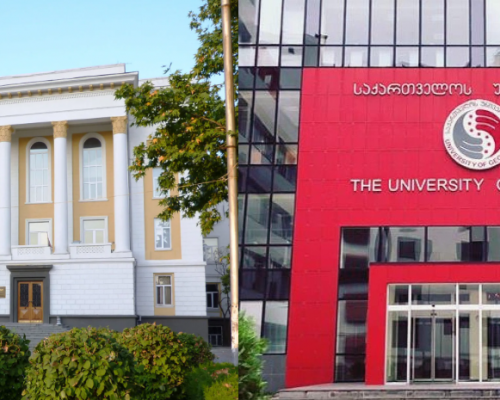 Georgian Technical University Rector Seeks Seizure of University of Georgia Property