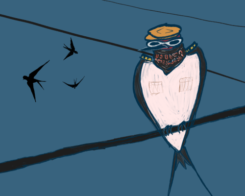 Dispatch – April 15 – To kill a swallow