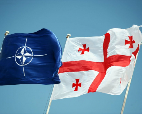 NATO Vilnius  Summit and Georgia: a Bitter Aftertaste